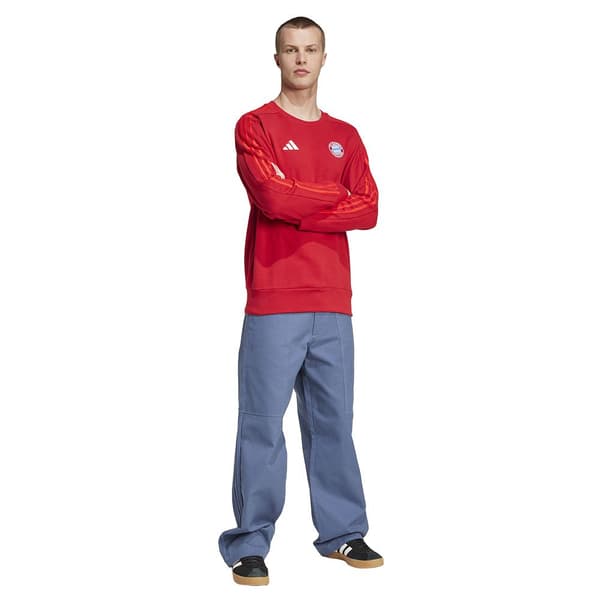 Adidas Tröja Fc Bayern Munich Dna 24/25  M