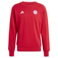 Miniatyrbillede 3 af 7: Adidas Sweatshirt Fc Bayern Munich Dna 24/25  XL