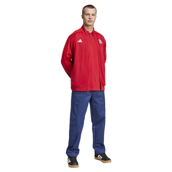 Adidas Träningsoverallsjacka Fc Bayern Munich Dna 24/25 M