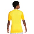 Miniatyrbild 2 av 6: Nike Trophy V Dri-fit 0933 T-shirt Med Korta ärmar Gul M Man