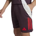 Miniatyrbillede 6 af 6: Adidas Junior Træningsshorts Fc Bayern Munich 24/25  9-10 Years