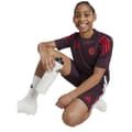 Pikkukuva 5 / 7: Adidas Junior Training Lyhythihainen T-paita Fc Bayern Munich 24/25  5-6 Years