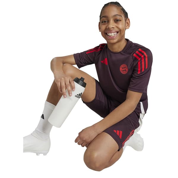 Adidas Junior Training Lyhythihainen T-paita Fc Bayern Munich 24/25  5-6 Years