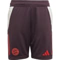 Pikkukuva 3 / 6: Adidas Junioriharjoittelushortsit Fc Bayern Munich 24/25  5-6 Years