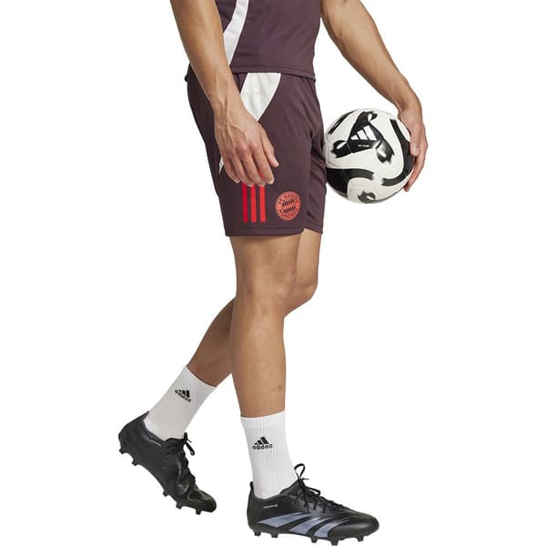 Adidas Träningsshorts Fc Bayern Munich 24/25  XL