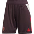 Miniatyrbillede 3 af 7: Adidas Træningsshorts Fc Bayern Munich 24/25  L