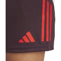 Miniatyrbillede 6 af 7: Adidas Træningsshorts Fc Bayern Munich 24/25  L
