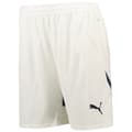 Miniatyrbild 2 av 3: Puma Manchester City Fc Shorts  M