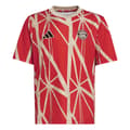 Miniatyrbild 1 av 8: Adidas Fc Bayern Munich 24/25 Junior Pre-match T-shirt Med Korta ärmar  7-8 Years