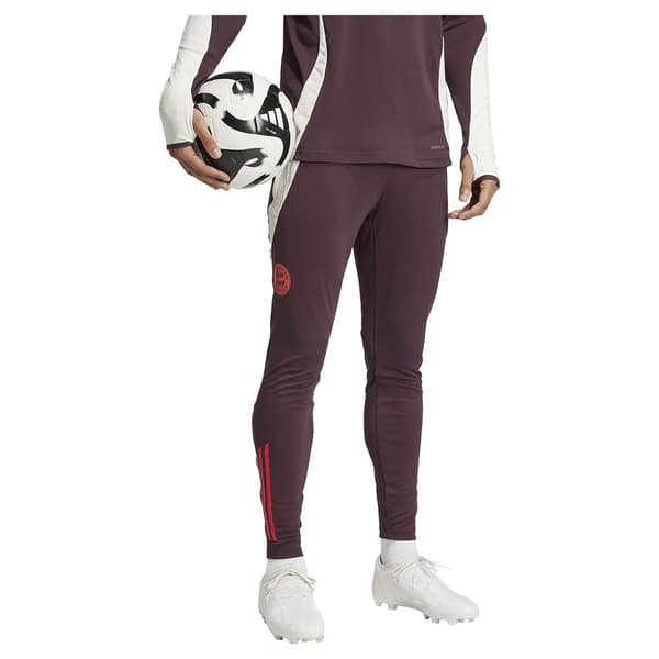 Adidas Fc Bayern Munich 24/25 Træningsbukser  L