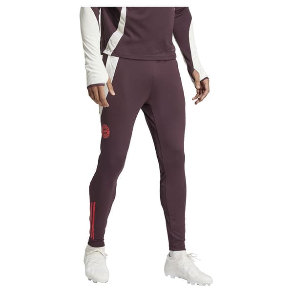 Adidas Fc Bayern Munich 24/25 Træningsbukser  L