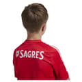 Miniatyrbillede 4 af 4: Adidas Benfica Lisboa 24/25 Kortærmet T-shirt Hjem  7-8 Years