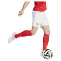 Miniatyrbillede 4 af 6: Adidas Benfica Lisboa 24/25 Shorts Hjem  S