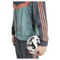 Miniatyrbild 7 av 10: Adidas Fc Bayern Munich Szn 24/25 Träningsjacka  S