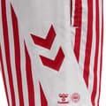 Miniatyrbillede 5 af 5: Hummel Dansk Boldspil-union Fan 2020 Badeshorts  2XL