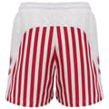 Miniatyrbillede 2 af 5: Hummel Dansk Boldspil-union Fan 2020 Badeshorts  2XL