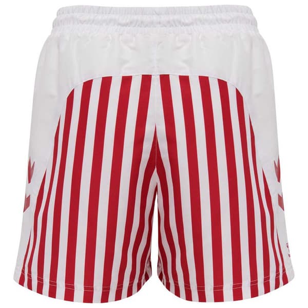 Hummel Dansk Boldspil-union Fan 2020 Badeshorts  2XL