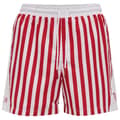 Miniatyrbillede 1 af 5: Hummel Dansk Boldspil-union Fan 2020 Badeshorts  2XL