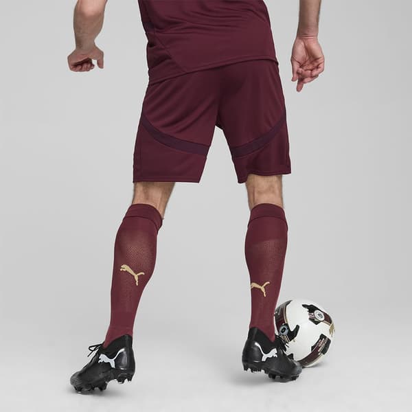 Puma Manchester City Fc Shorts L