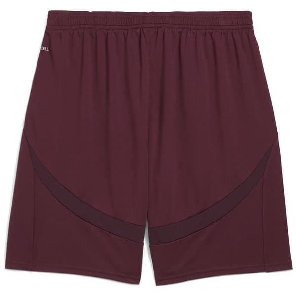 Puma Manchester City Fc Shorts L