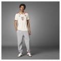 Pikkukuva 8 / 10: Adidas Fc Bayern Munich 3 Stripes 24/25 Lyhythihainen T-paita  2XL