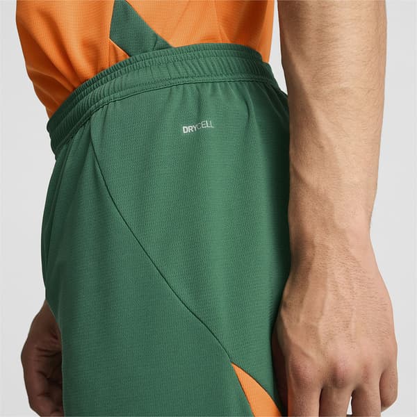 Puma Valencia Cf 23/24 Shorts S