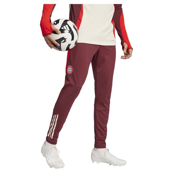 Adidas Fc Bayern Munich 24/25 Träningsbyxor S