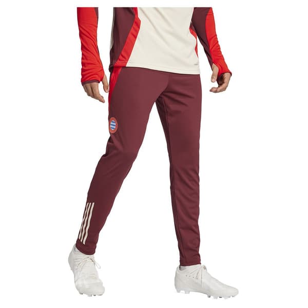 Adidas Fc Bayern Munich 24/25 Træningsbukser  S