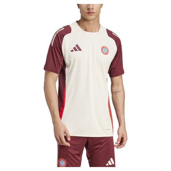 Adidas Fc Bayern Munich 24/25 Eu Træningstrøje Med Korte ærmer  M