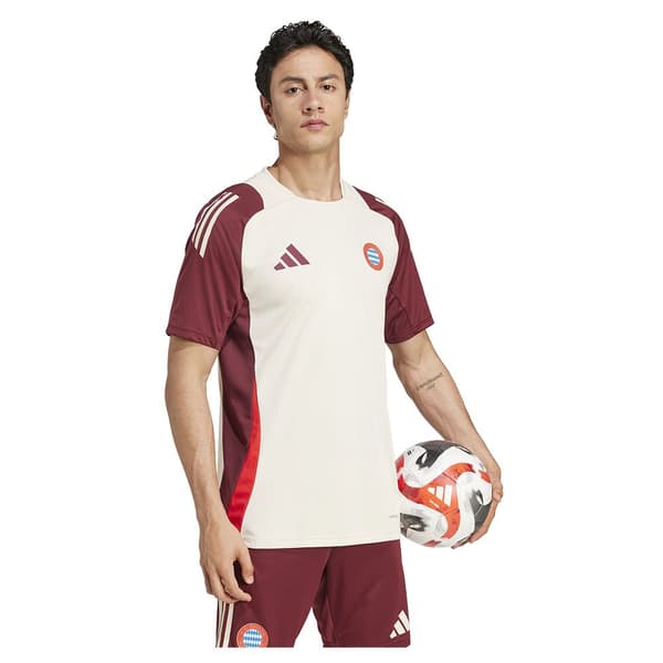 Adidas Fc Bayern Munich 24/25 Eu Træningstrøje Med Korte ærmer  XL