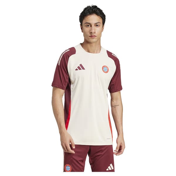 Adidas Fc Bayern Munich 24/25 Eu Träningströja Med Kort ärm  2XL