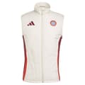 Pikkukuva 3 / 6: Adidas Fc Bayern Munich 24/25 Winterized Liivi  S
