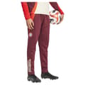 Pikkukuva 3 / 5: Adidas Fc Bayern Munich 24/25 Winterized Verryttelyhousut  S