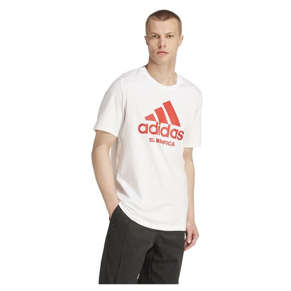 Adidas Benfica 24/25 Szn Graphic T-shirt Med Korte ærmer M