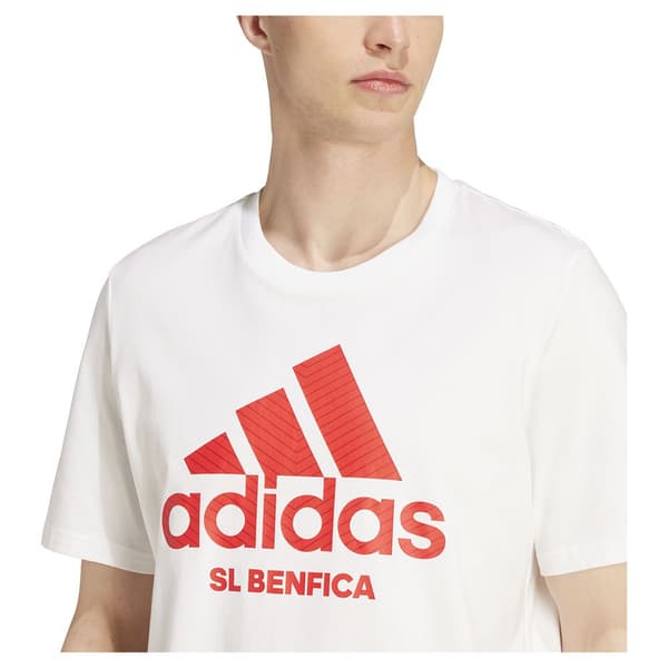 Adidas Benfica 24/25 Szn Graphic T-shirt Med Korte ærmer M