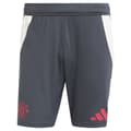 Pikkukuva 3 / 6: Adidas Manchester United 24/25 Tiro Treenishortsit  M