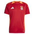 Miniatyrbild 1 av 2: Adidas Tiro 24 Competition Training T-shirt Med Korta ärmar Röd XL Man