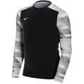 Miniatyrbild 1 av 2: Målvaktströja - Nike - Dri-Fit Park IV - Barn - Långärmad - Andas - Blå