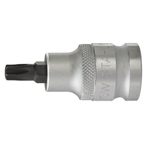SW-Stahl Profil T-insats T40 12,5 x 53 mm 1/2 kort - 05244L