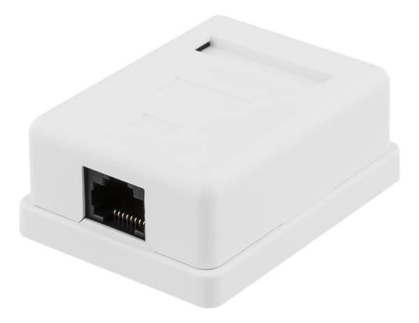 DELTACO suojaamaton datarasia pinta-as., UTP, 1xRJ45, Cat6, valkoinen