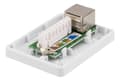 Miniatyrbilde 4 av 5: DELTACO skjermet vegguttak, utenpåliggende FTP 1xRJ45, Cat6, hvit