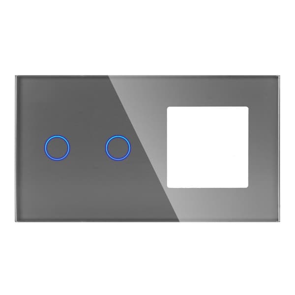 Kaksoislasipaneeli 2G1F Harmaa DC Smart Home