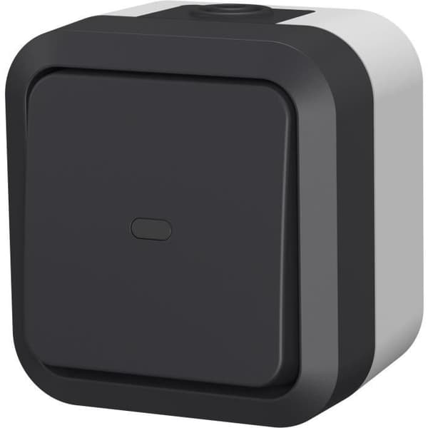 Kaksiasentoinen kytkin - QUARX - Aqua Pro - Ulkokäyttöön, merkkivalo, IP55, 250V
