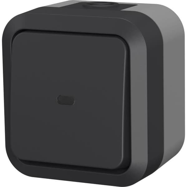 Kaksiasentoinen kytkin - QUARX - Aqua Pro - Ulkokäyttöön, merkkivalo, IP55, 250V