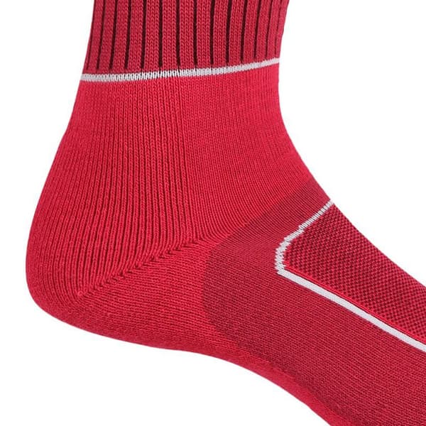 Regatta Kvinnor/Damer Samaris 2 Season Boot Socks