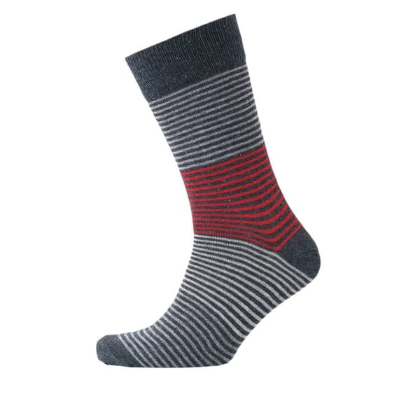 Money Mens Signature Socks (Pack of 3)