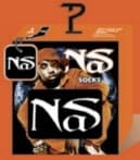 Nas Crew Socks Gift Box (One Size)