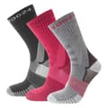 Miniatyrbilde 1 av 2: TOG24 Womens/Ladies Wels Trekking Socks (Pack of 3)