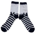 Miniatyrbild 1 av 4: The Beatles Abbey Road Stripy Ankle Socks UK Size 5-11