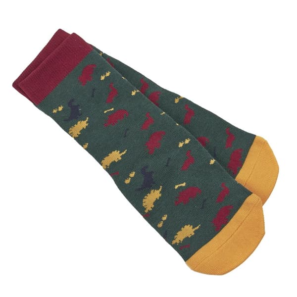 Tikaboo Childrens/Kids Dinosaur Long Length Socks